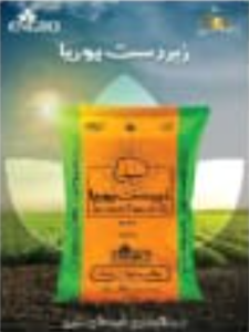 Screenshot 2025-12-18 182006